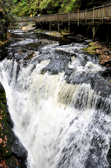 iew from the?bridge over Lower Gorge Falls